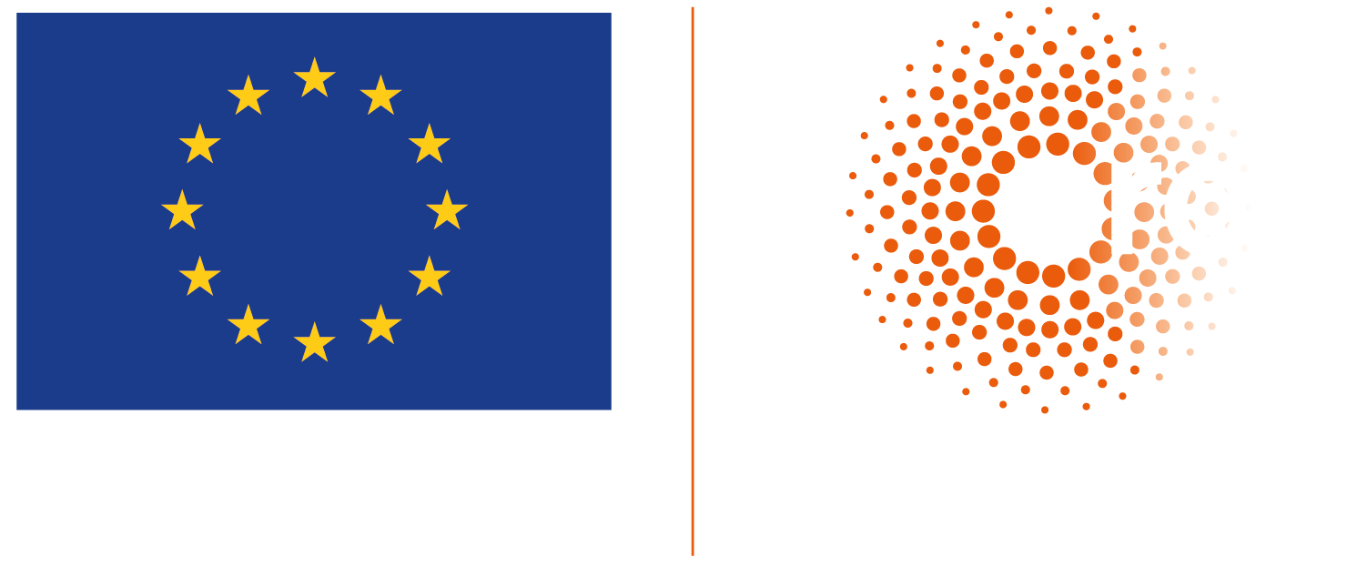 LOGO_ERC-FLAG_EU-01